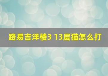 路易吉洋楼3 13层猫怎么打